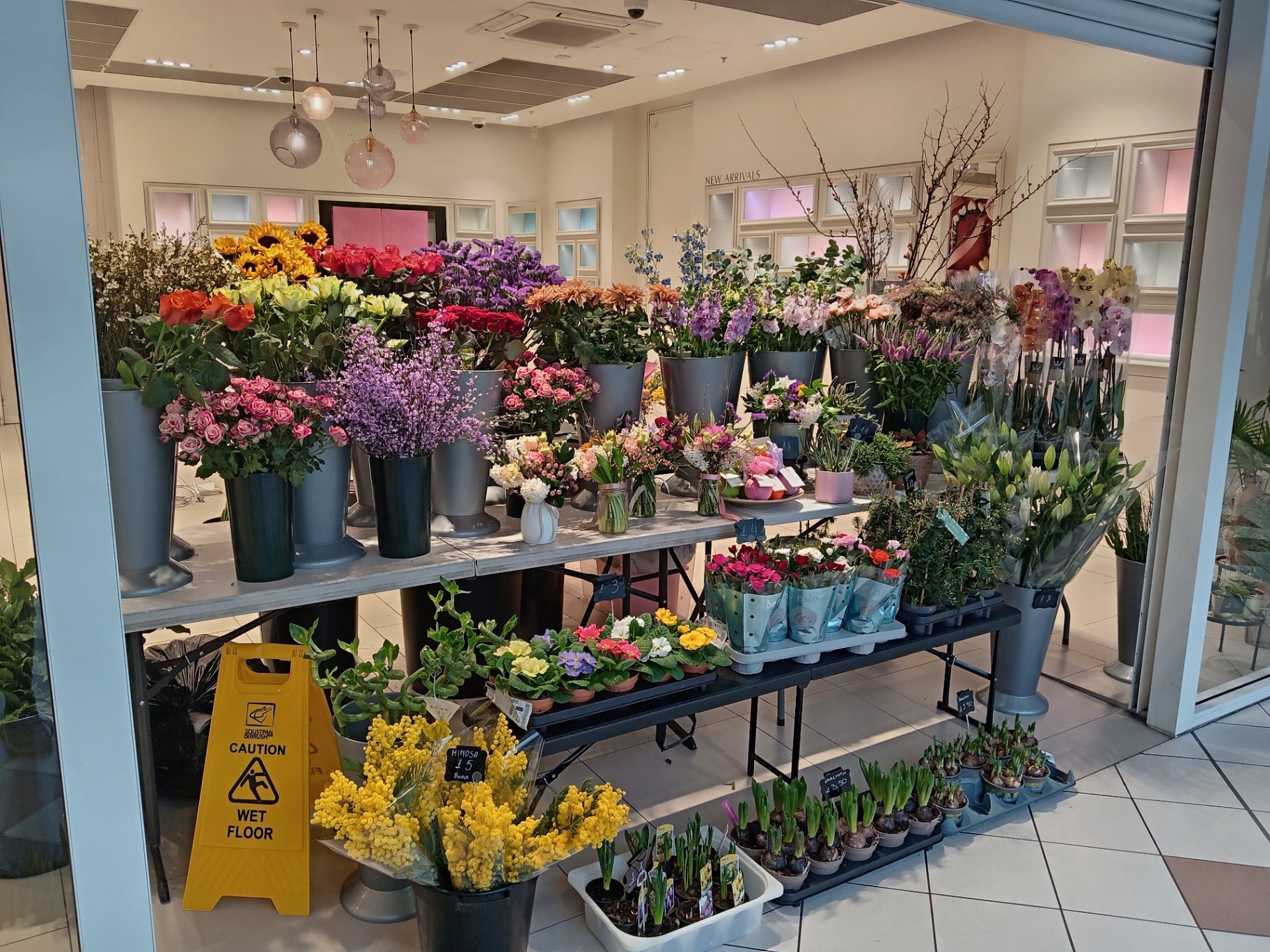 Wide view of the Feel Drop Co Sutton florist shopfront with fresh-cut flowers, plants and seasonal bulbs